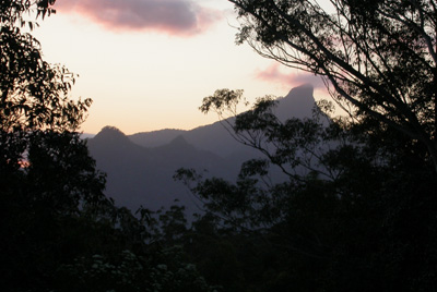 Mount Warning from ecOasis